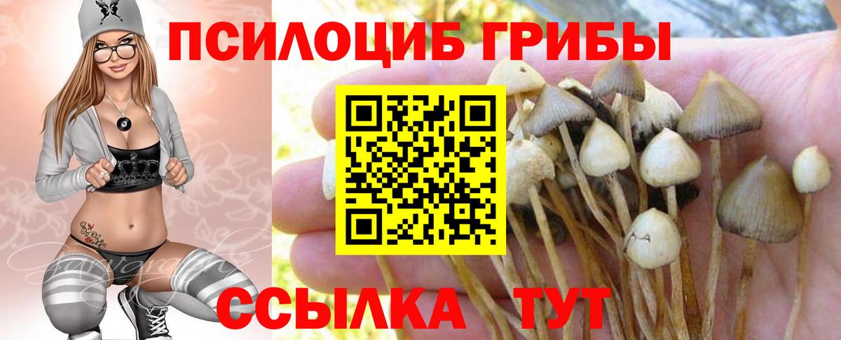 ГАШ Родники